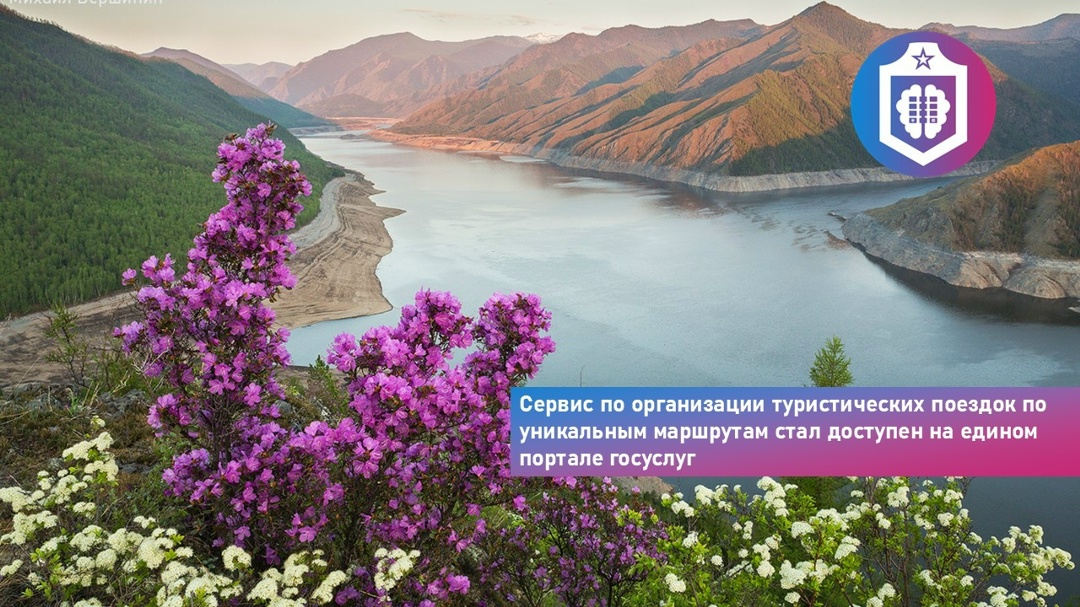 #Когнитивная_Витаминка Выпуск № 344 19.06.2026