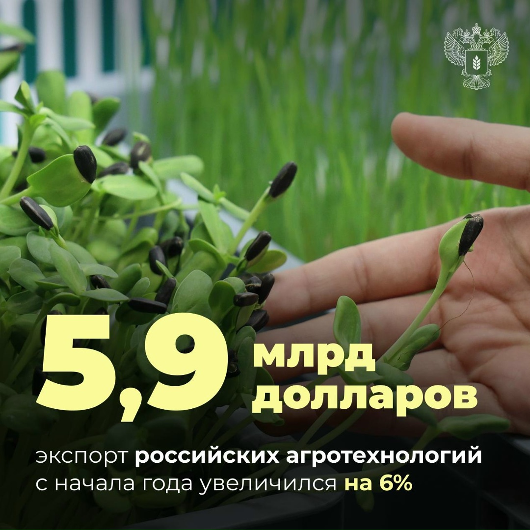 Экспорт агротехнологий с начала года вырос на 6%