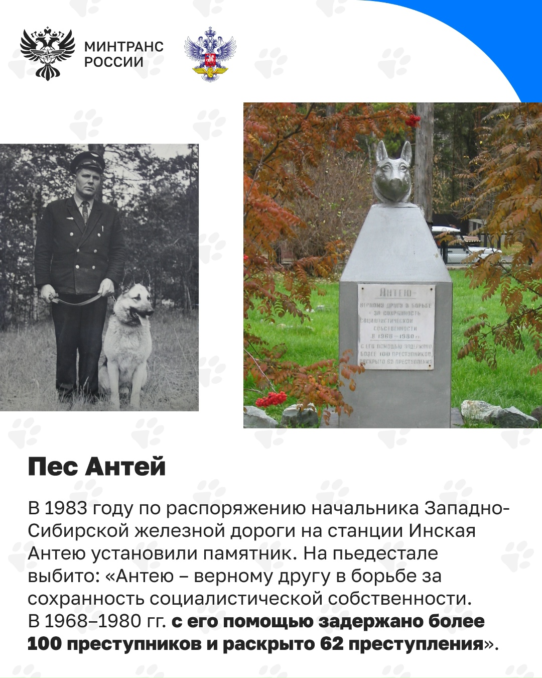 Сегодня отмечается День кинолога Кинологическая служба – давняя и неотъемлемая часть охраны на транспорте, в том числе на железной дороге