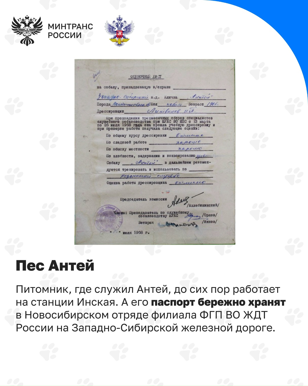 Сегодня отмечается День кинолога Кинологическая служба – давняя и неотъемлемая часть охраны на транспорте, в том числе на железной дороге