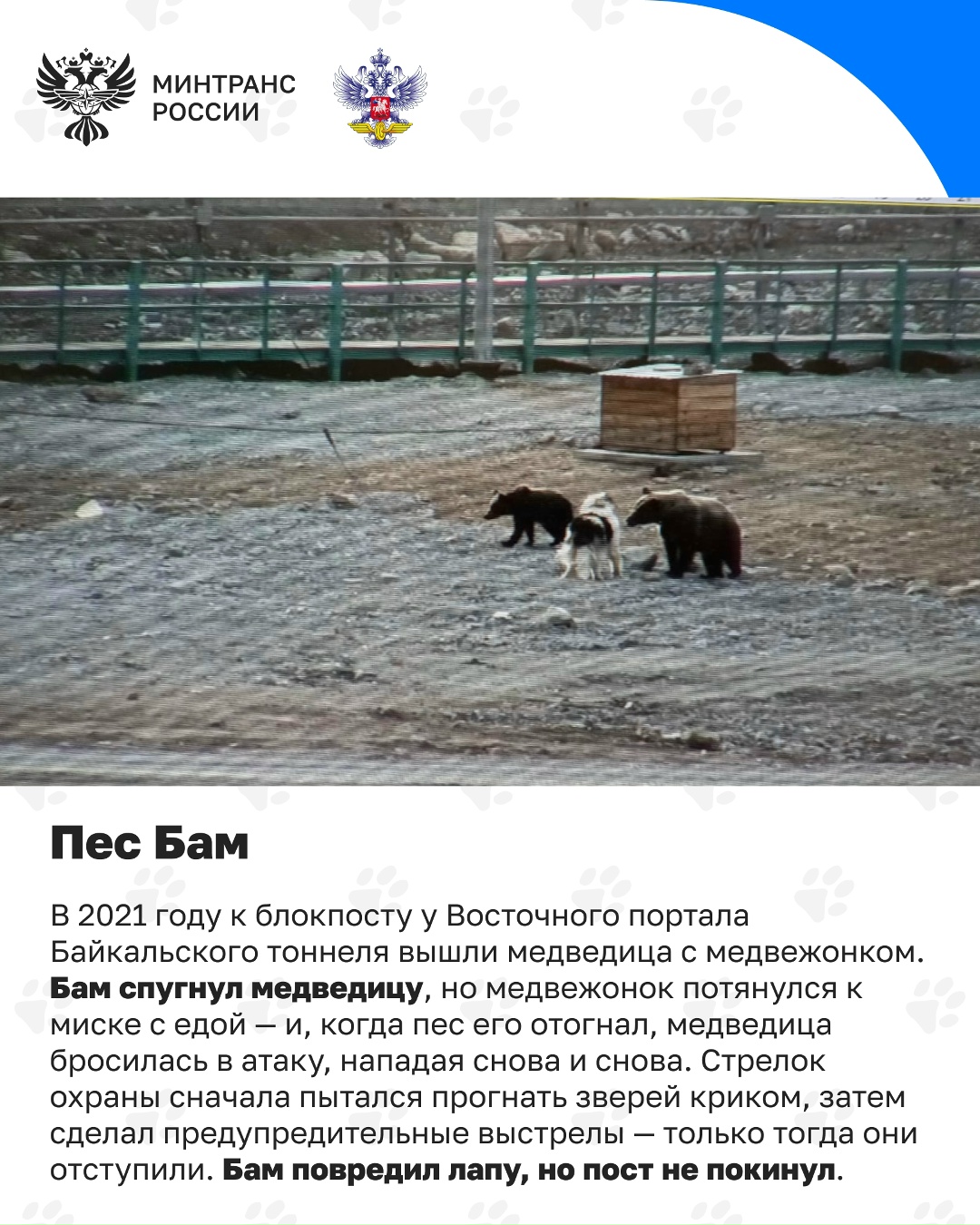 Сегодня отмечается День кинолога Кинологическая служба – давняя и неотъемлемая часть охраны на транспорте, в том числе на железной дороге