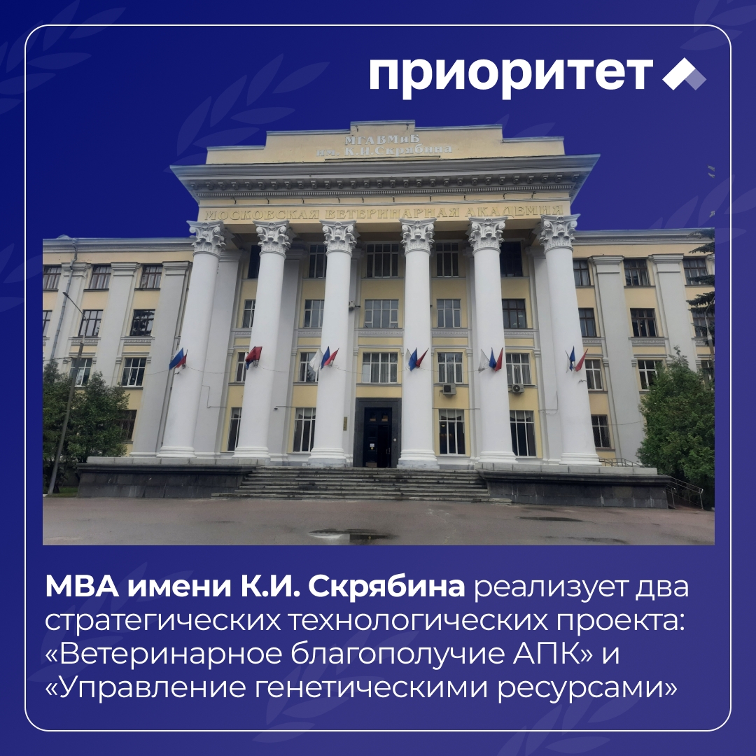 МВА имени К.И. Скрябина развивает ветеринарную безопасность и генетические технологии в рамках «Приоритета-2030»