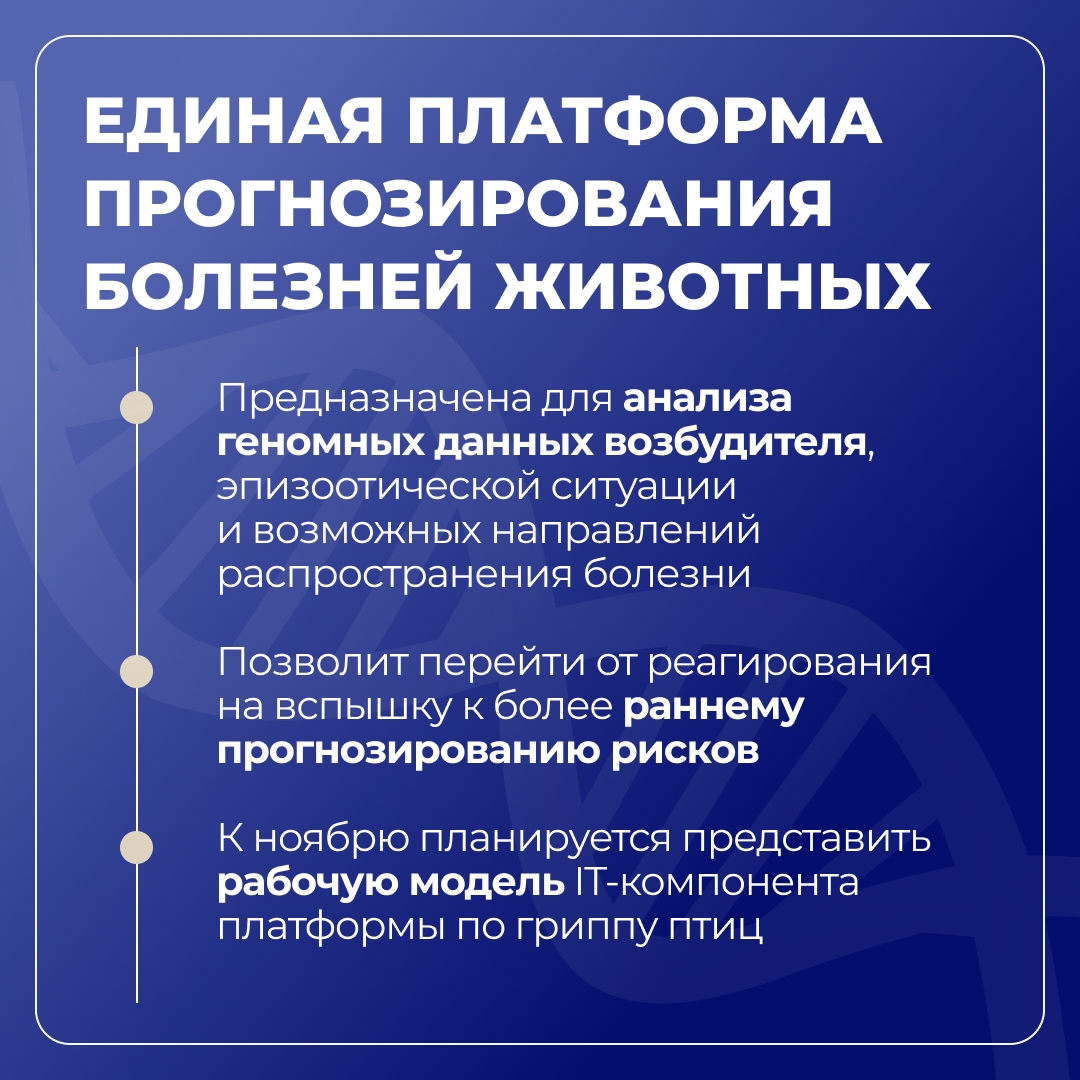 МВА имени К.И. Скрябина развивает ветеринарную безопасность и генетические технологии в рамках «Приоритета-2030»