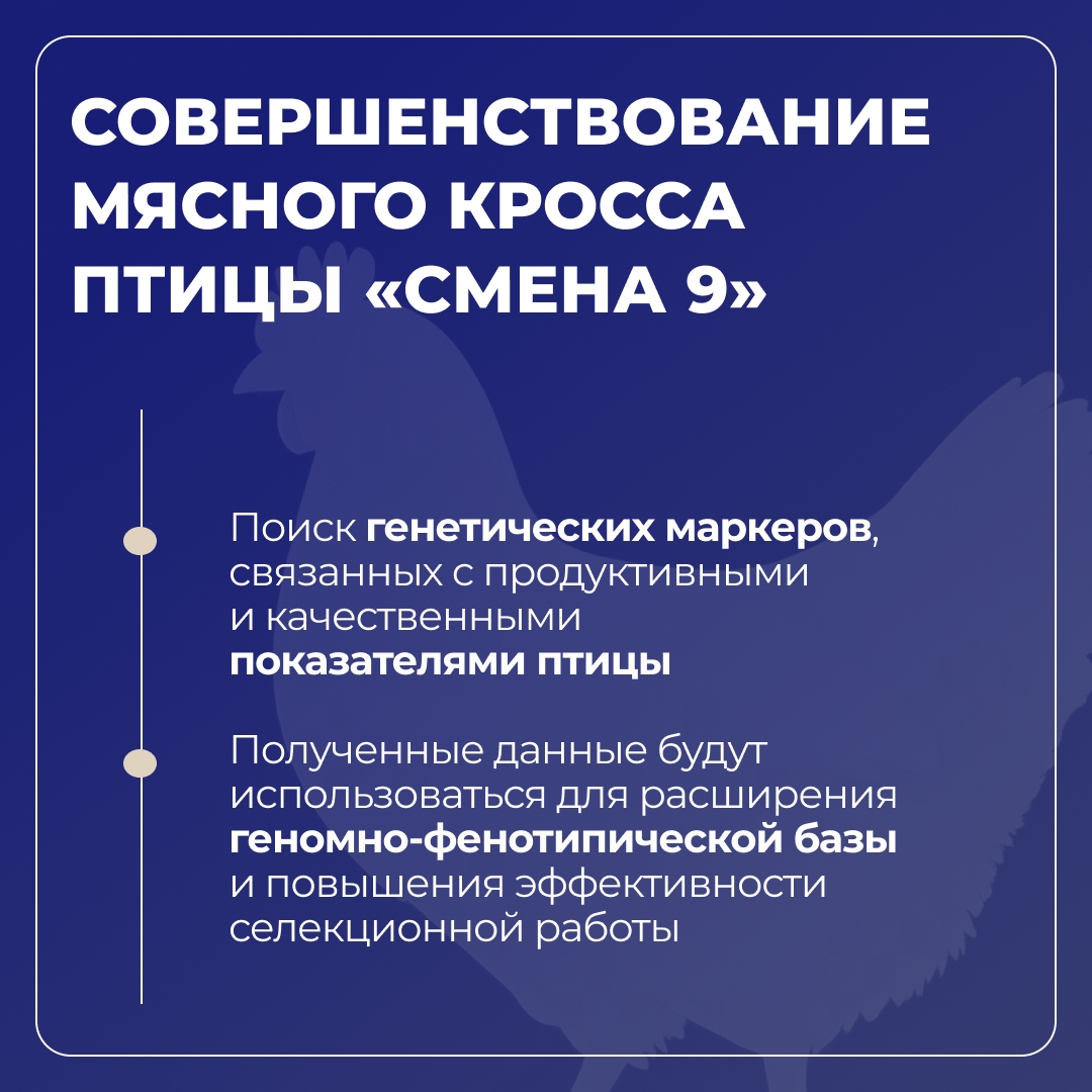 МВА имени К.И. Скрябина развивает ветеринарную безопасность и генетические технологии в рамках «Приоритета-2030»