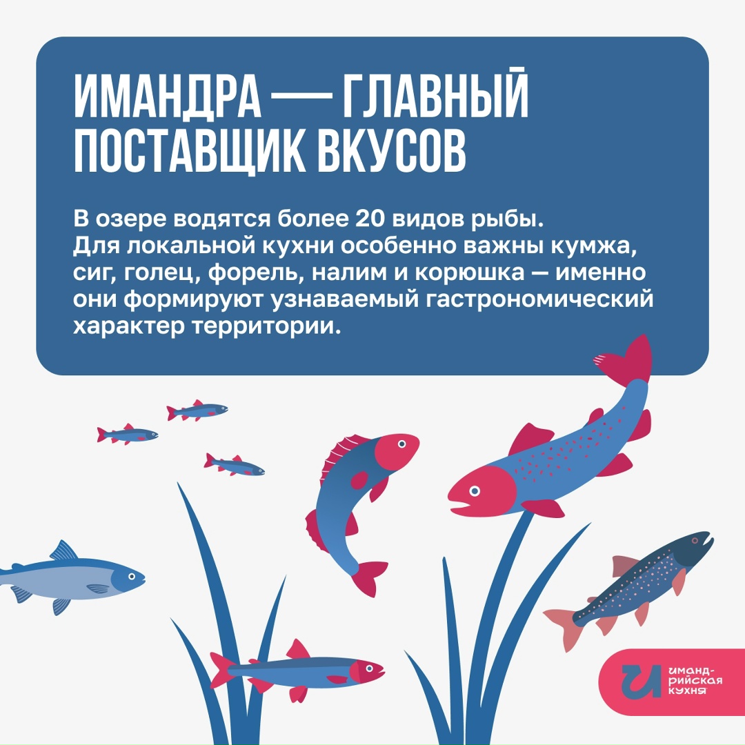 Чем заняться гурману в Мончегорске?