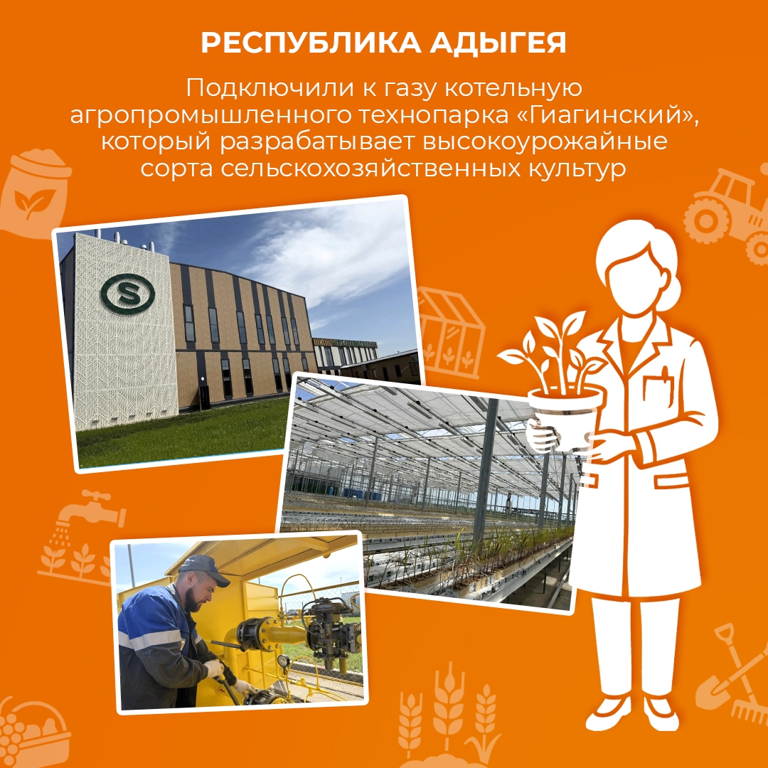 Газ помогает решать абсолютно разные задачи: производить асфальт, сохранять старинные книги и даже выводить новые сорта сельхозкультур