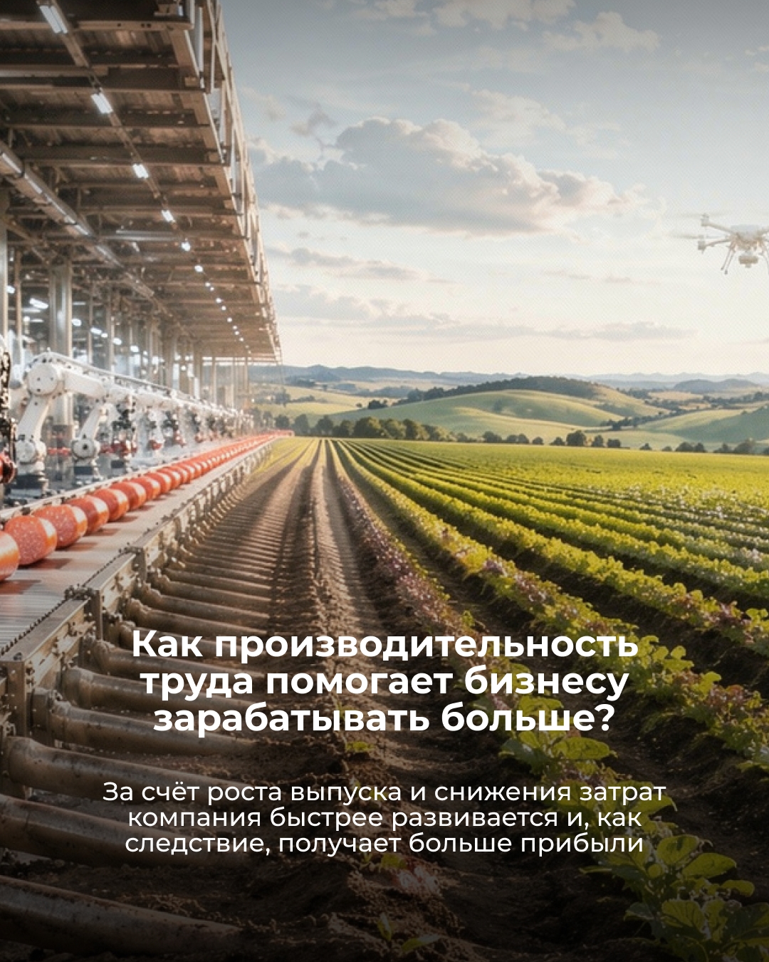 Что общего между колбасой, роботами и искусственным интеллектом? Производительность труда