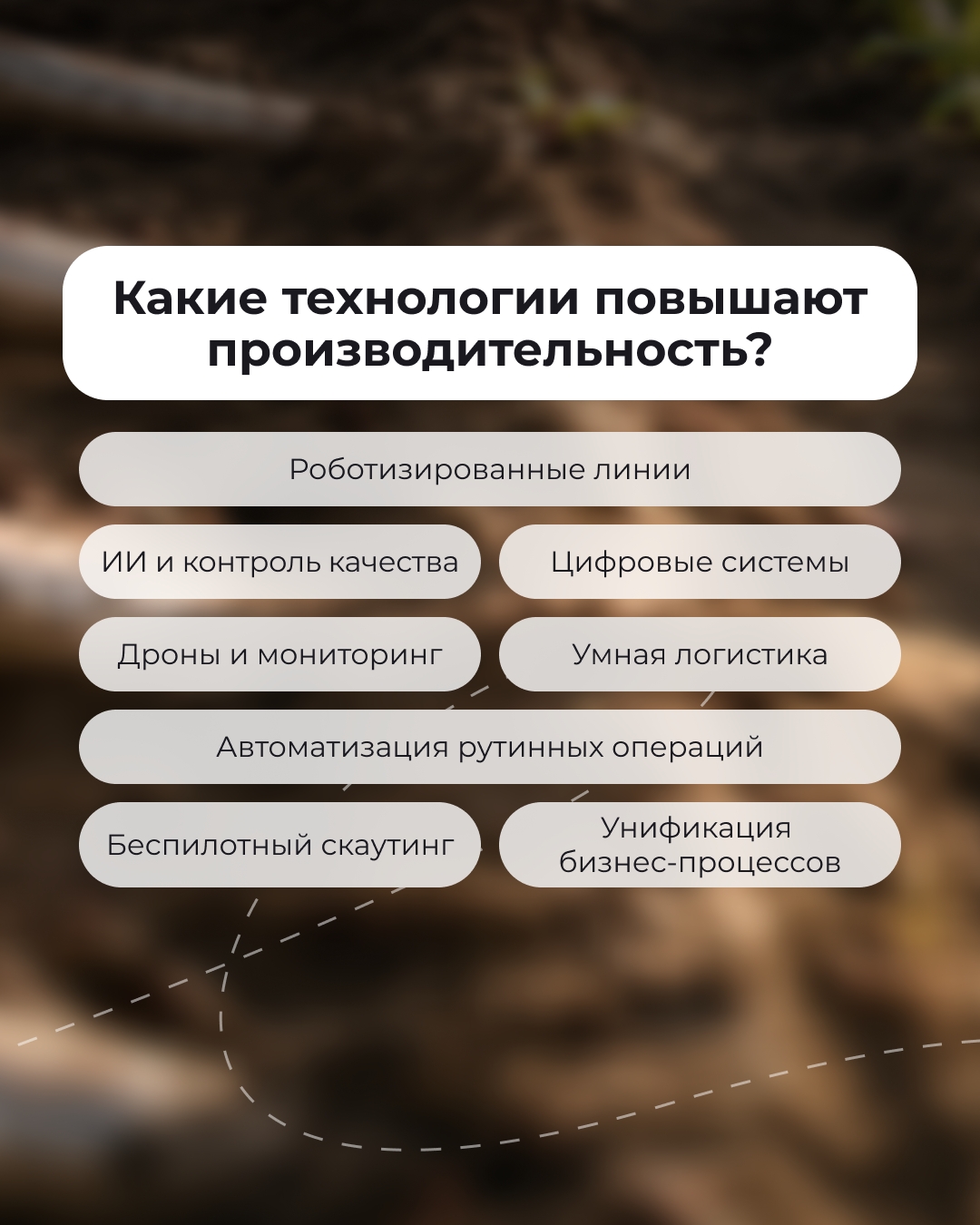 Что общего между колбасой, роботами и искусственным интеллектом? Производительность труда