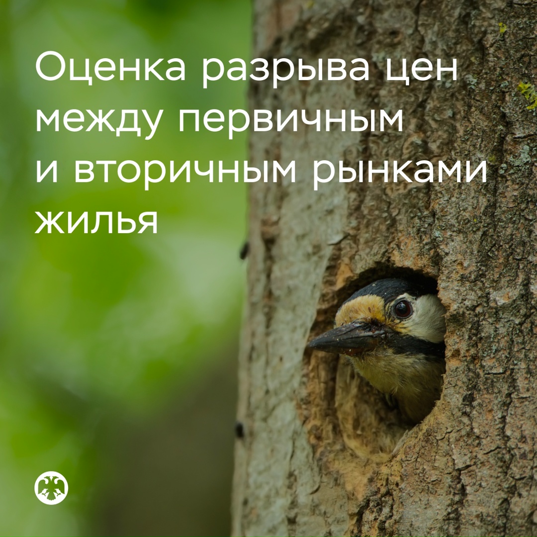 Разрыв цен между первичным и вторичным рынками жилья составляет 9-18%