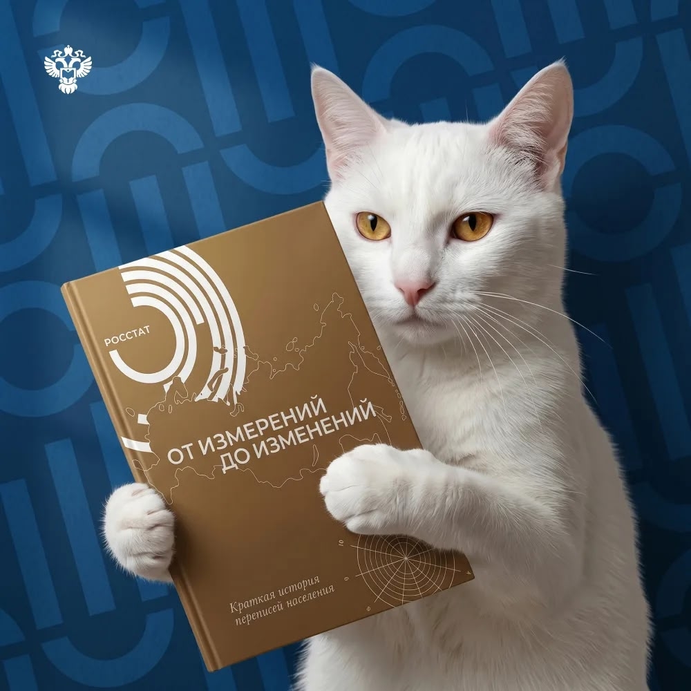 Котистики, не забыли про наш конкурс с космически классными призами?