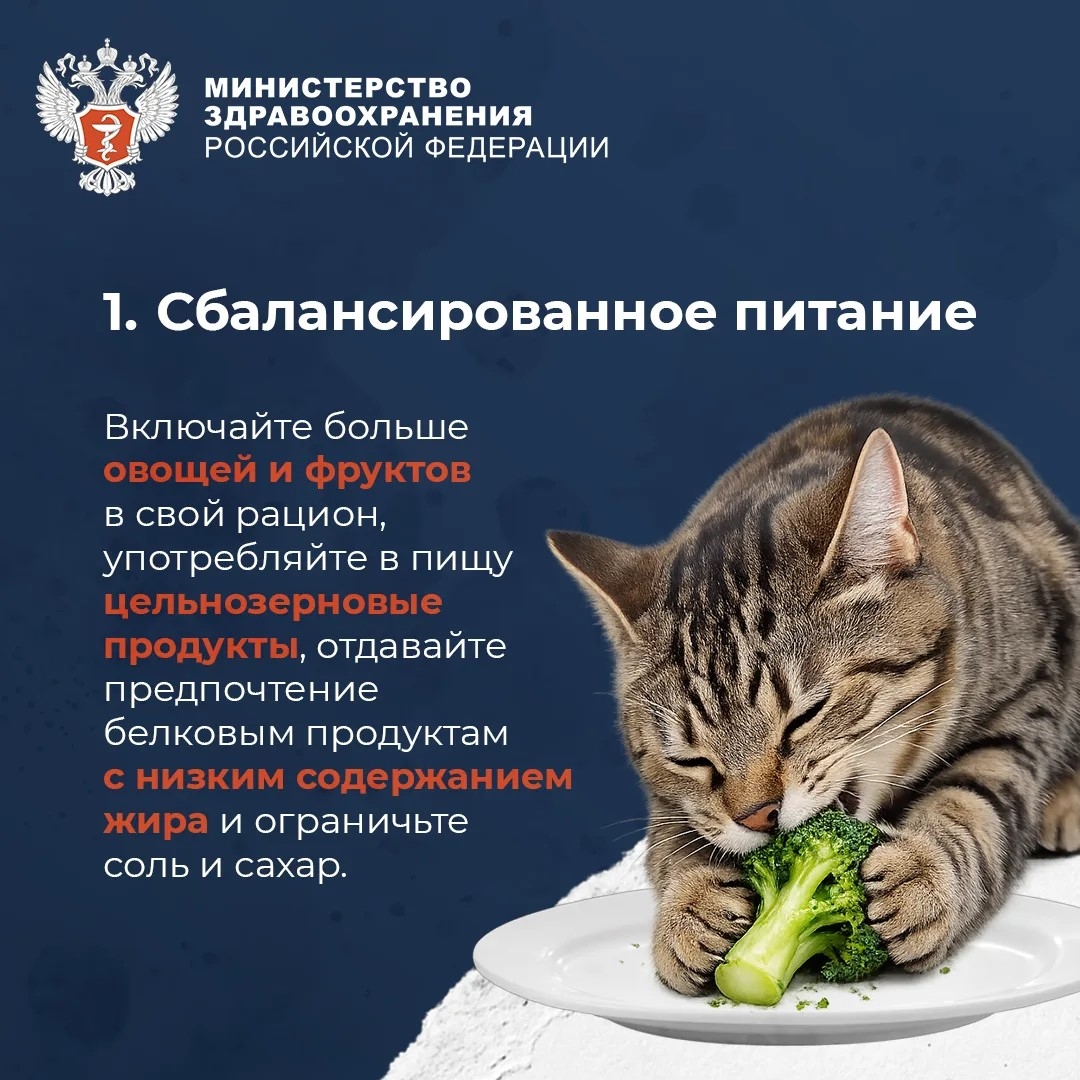 #ПростыеПравила: Пять привычек, которые важно сформировать в молодости, чтобы сохранить здоровье на долгие годы