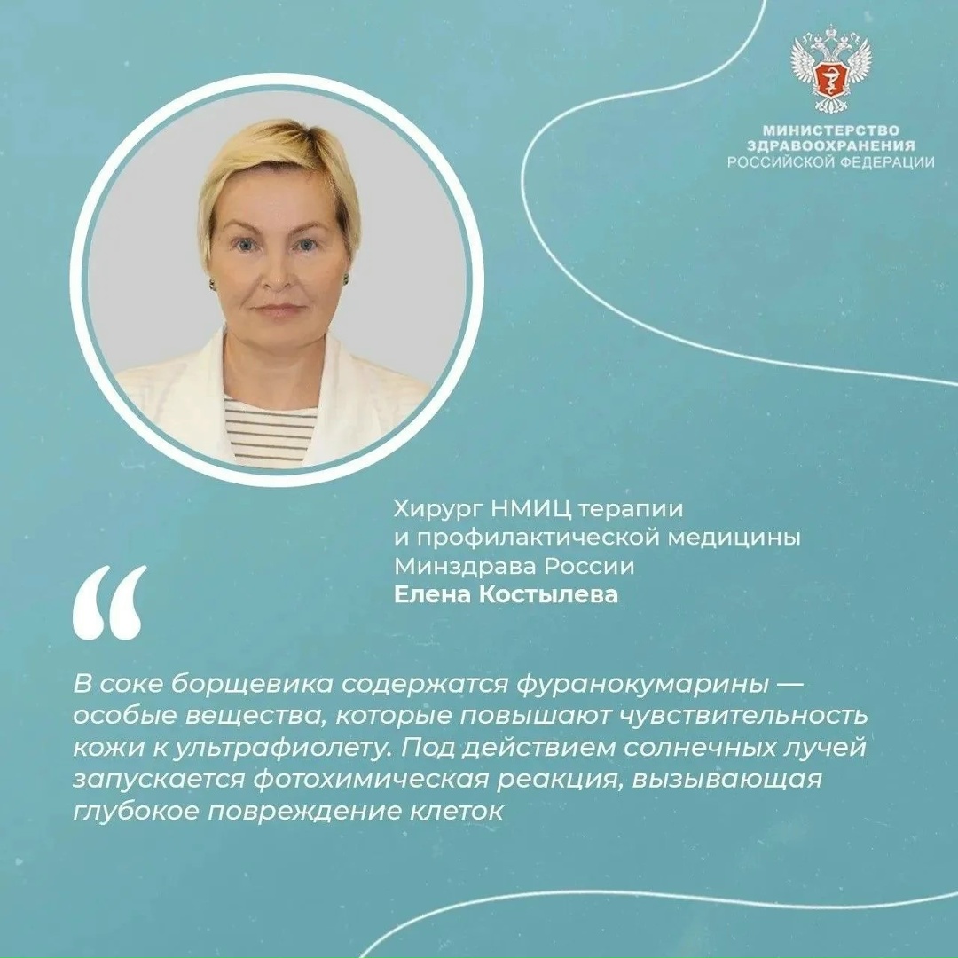 #ПростыеПравила: Что делать при ожоге борщевиком
