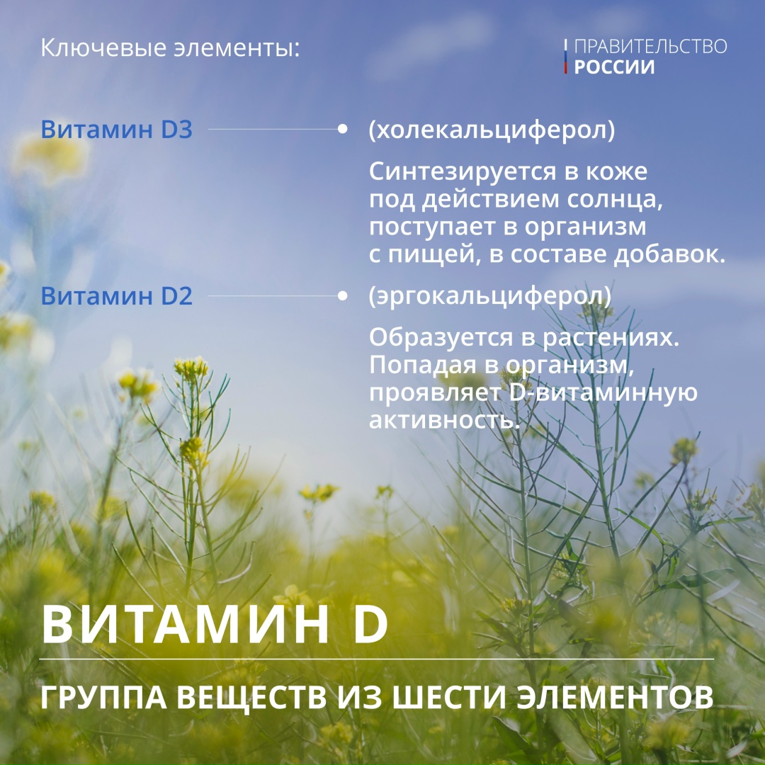 Летом мы все чаще проводим время на улице: на пикнике, в саду, на грядках или просто на свежем воздухе