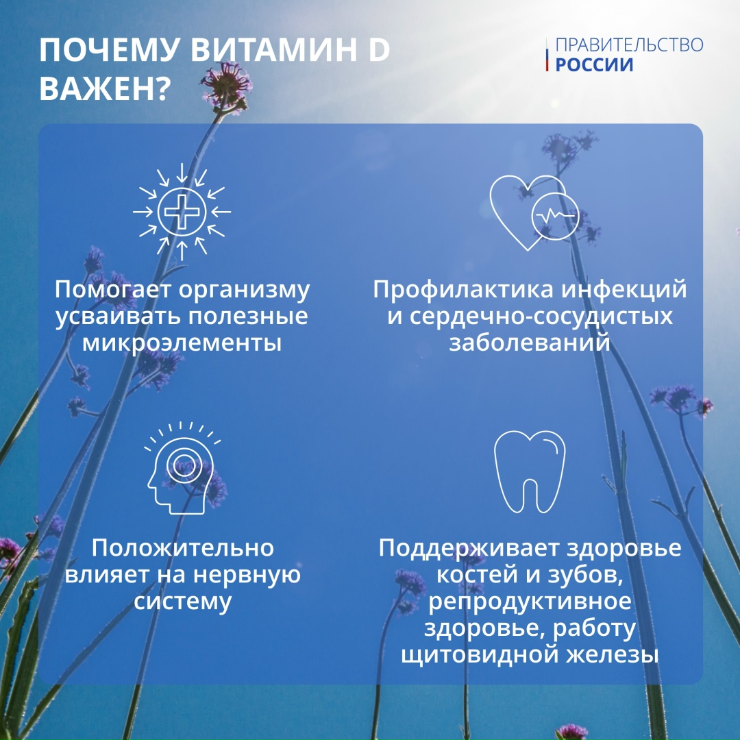 Летом мы все чаще проводим время на улице: на пикнике, в саду, на грядках или просто на свежем воздухе