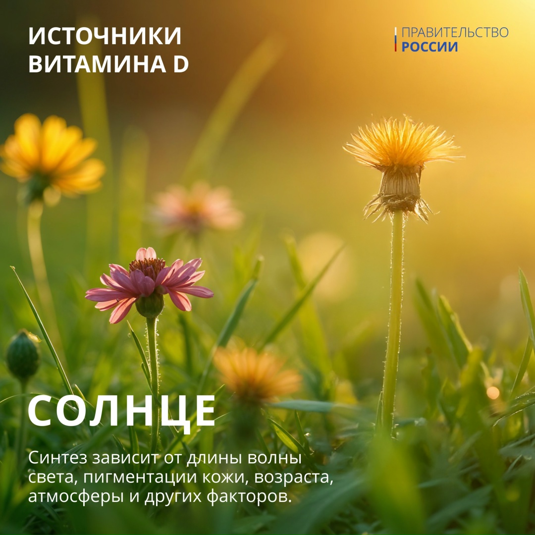 Летом мы все чаще проводим время на улице: на пикнике, в саду, на грядках или просто на свежем воздухе