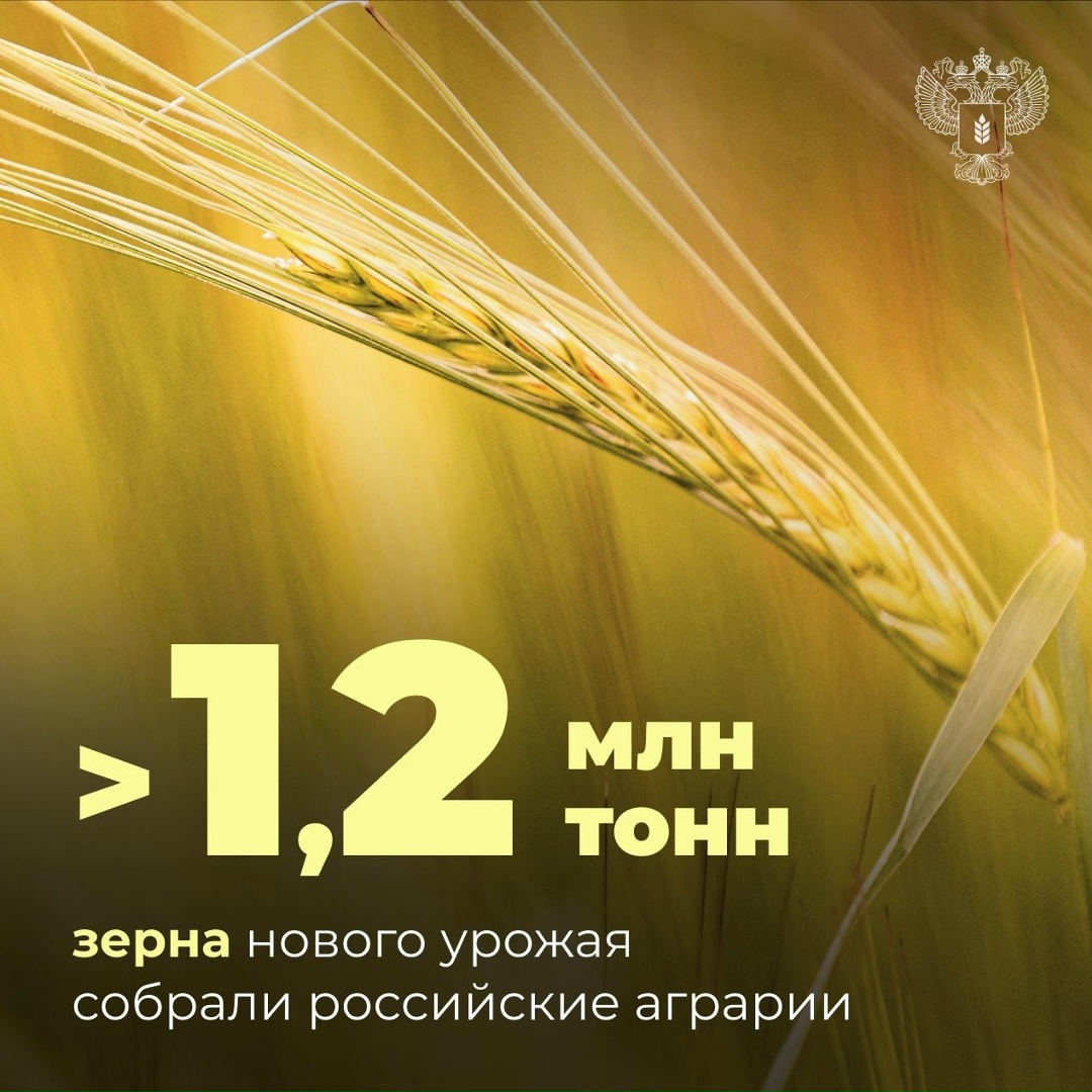 Первый миллион тонн зерна нового урожая