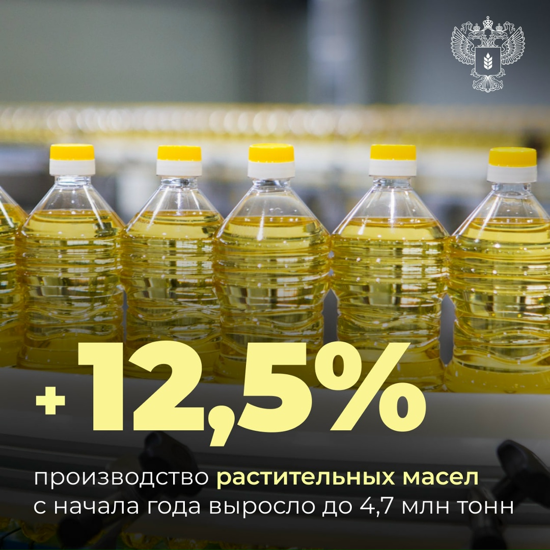 Россия нарастила производство и экспорт растительных масел