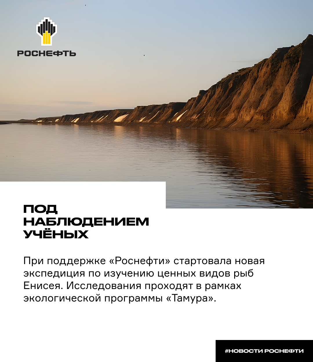 Под наблюдением учёных При поддержке «Роснефти» стартовала новая экспедиция по изучению ценных видов рыб Енисея
