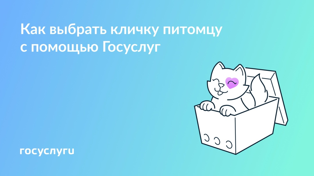 На Госуслугах появился генератор кличек для питомцев