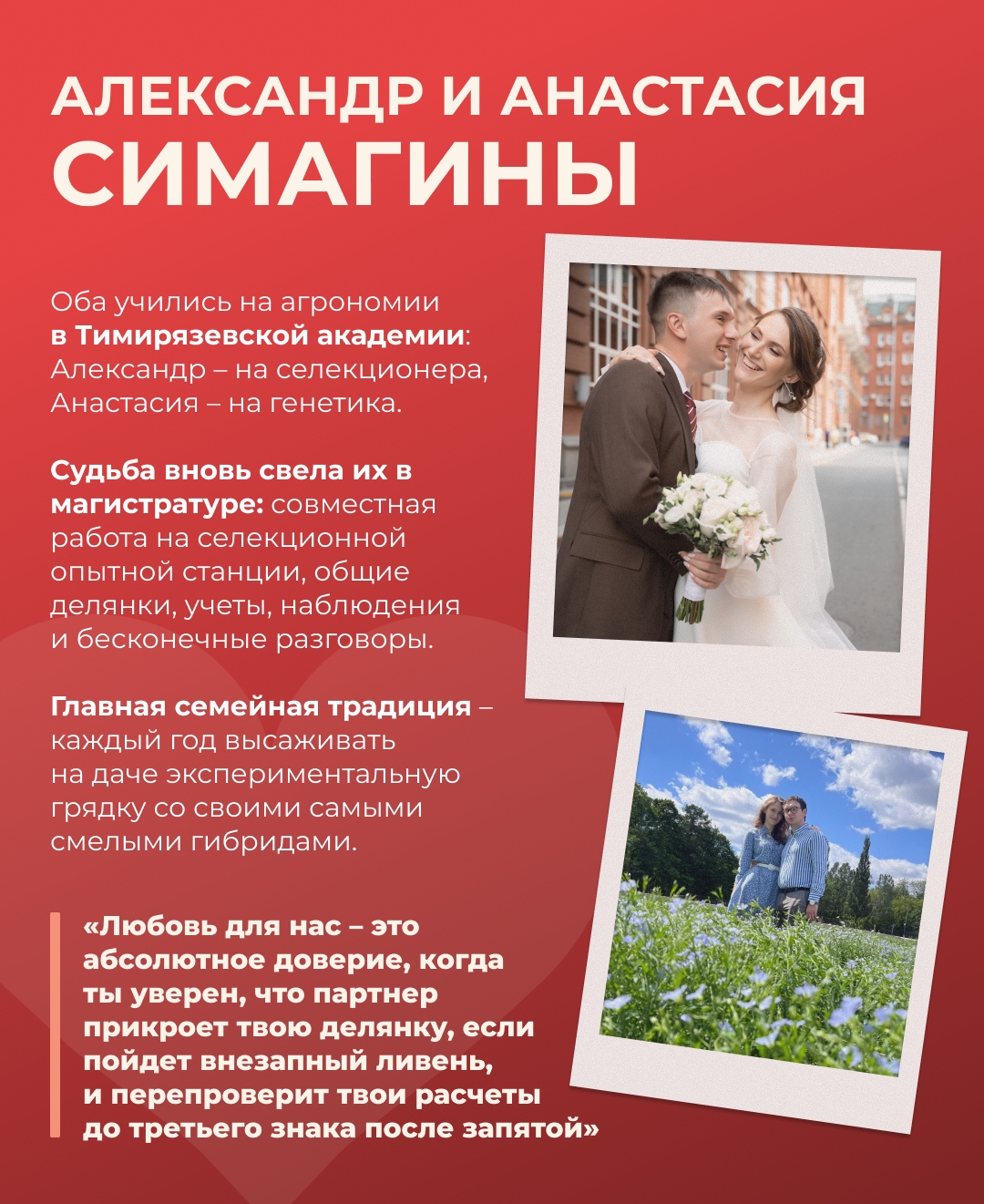 Сельское хозяйство – это любовь! Сегодня, в День семьи, любви и верности, знакомим вас с парами, чьи истории начались в стенах аграрных вузов.