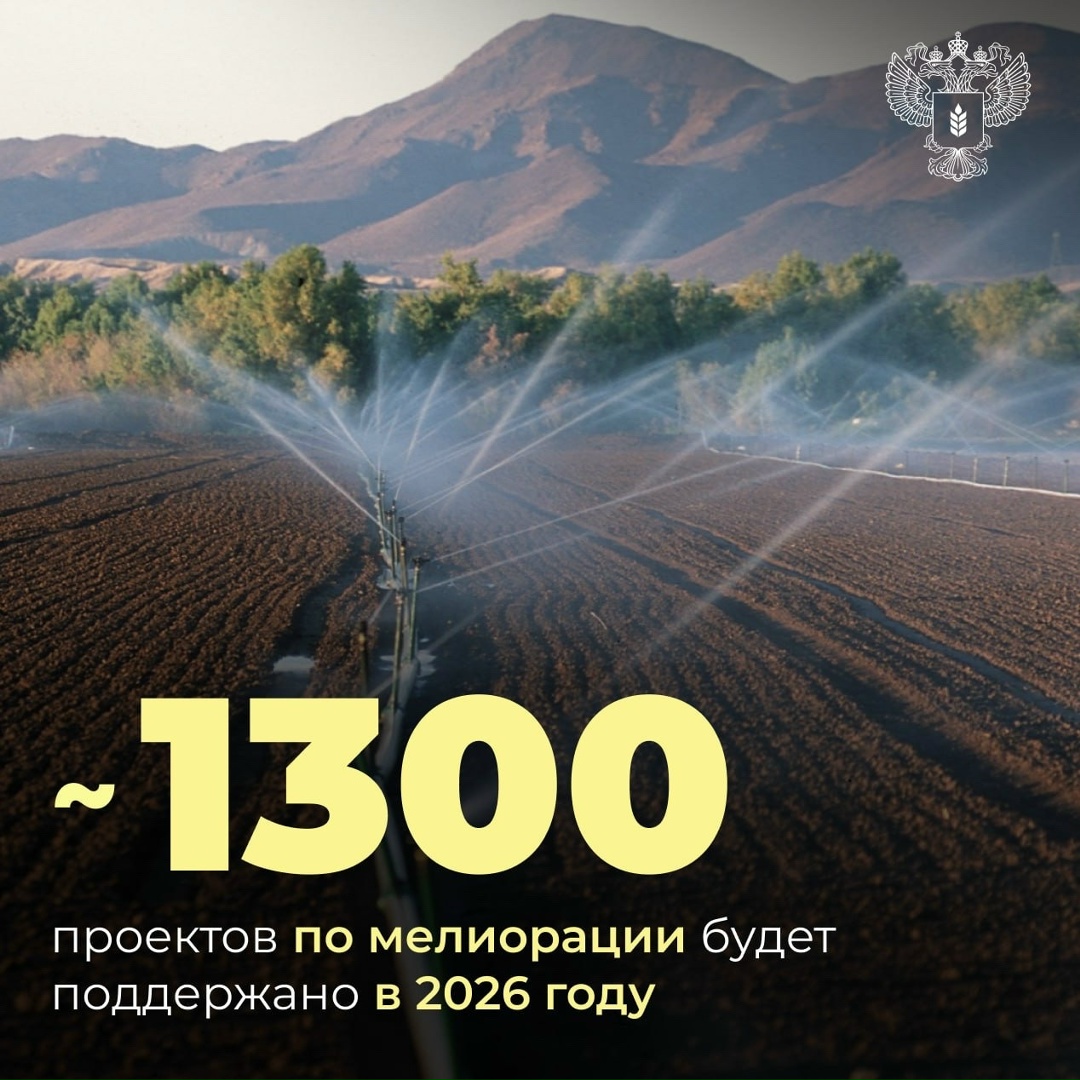 Поддержим почти 1,3 тысячи проектов по мелиорации в рамках госпрограммы «Земля»