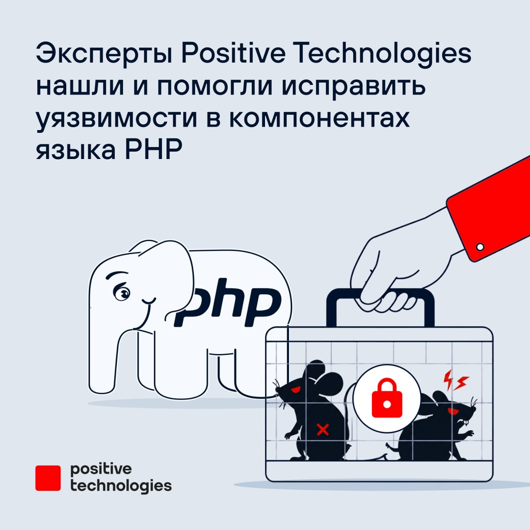 Как наши эксперты спасли слона Это не кликбейт и не выдумка