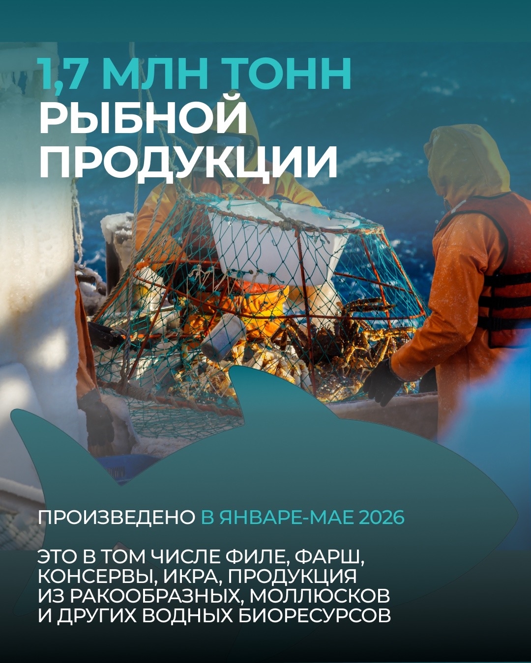 Ко Дню рыбака: несколько фактов о современной рыбной отрасли России