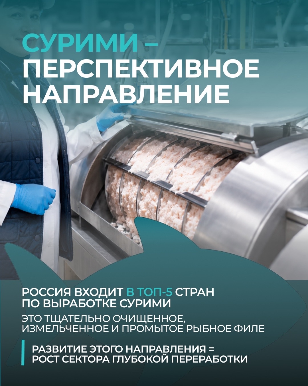 Ко Дню рыбака: несколько фактов о современной рыбной отрасли России