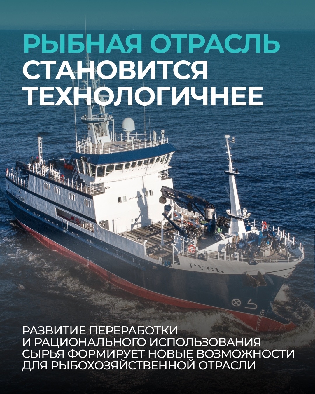 Ко Дню рыбака: несколько фактов о современной рыбной отрасли России