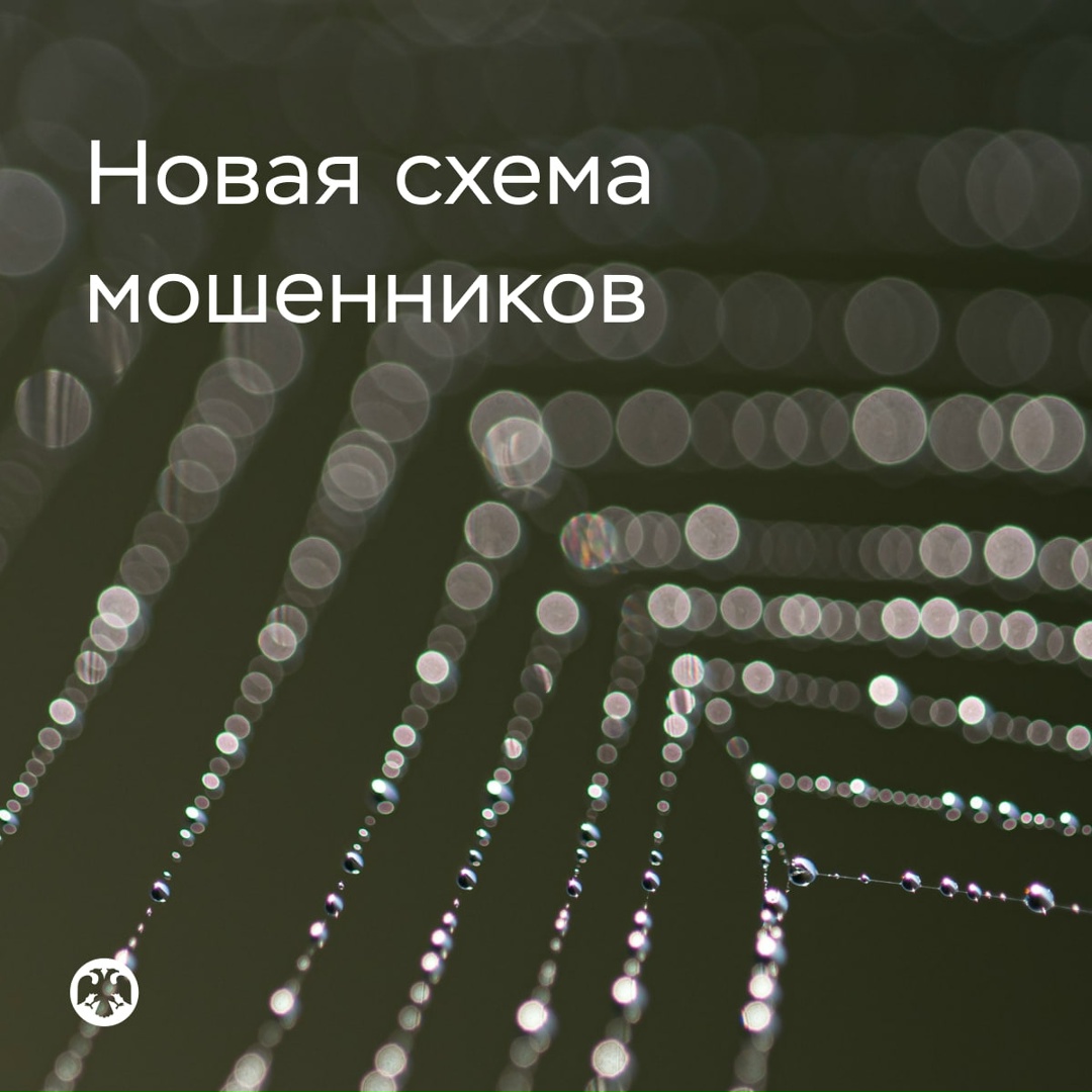 Новая схема обмана — «замена счета в Центробанке»
В переписке мошенники могут присылать «видеоинструкцию от Банка России»