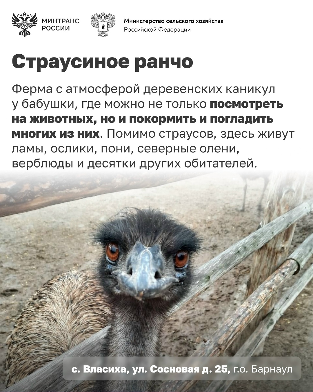 Едете в Алтайский край? Добавьте эти места в свой маршрут