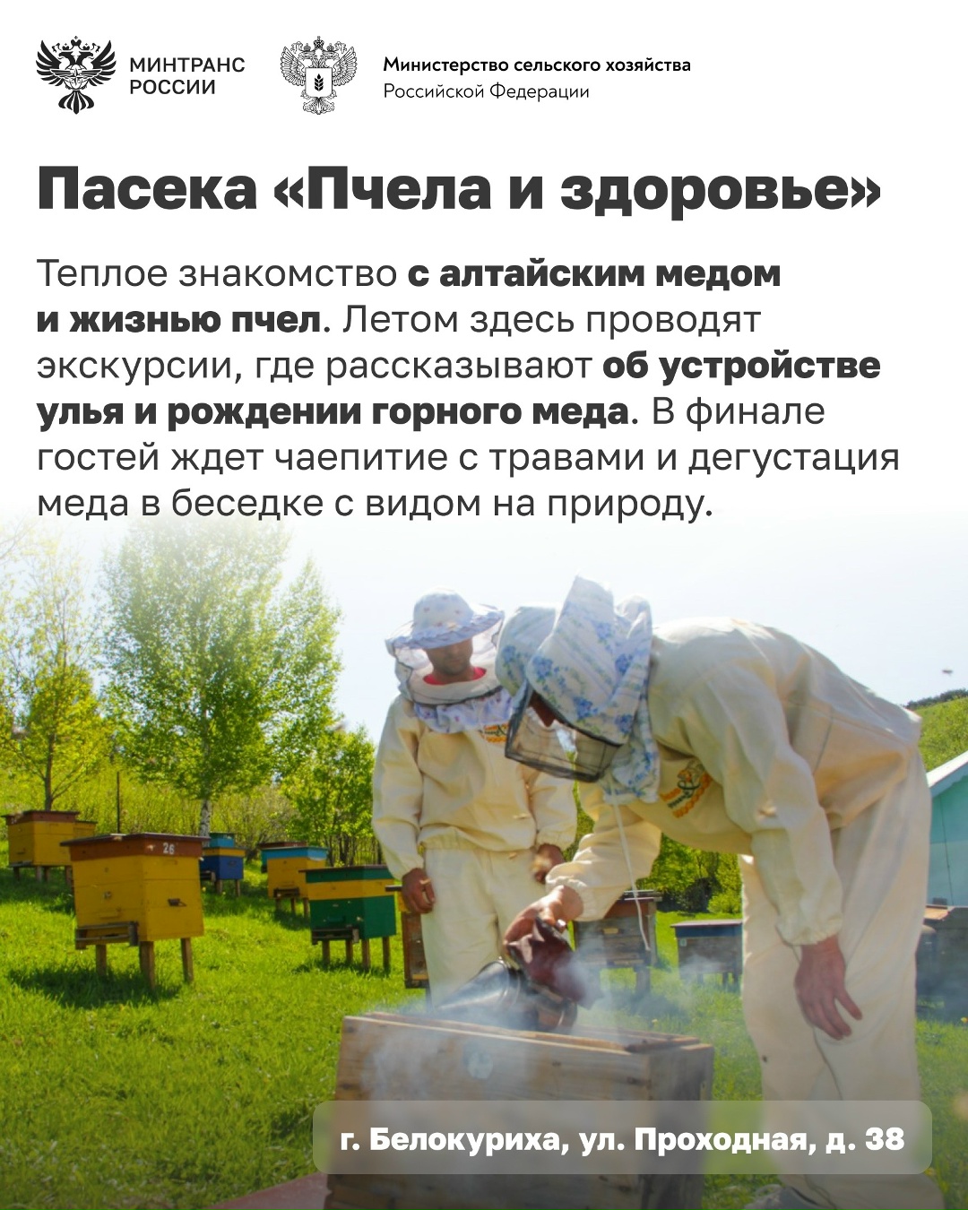 Едете в Алтайский край? Добавьте эти места в свой маршрут