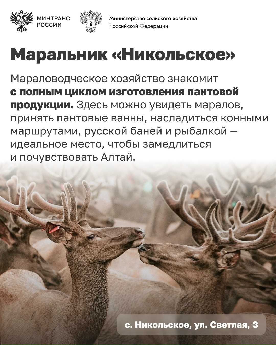 Едете в Алтайский край? Добавьте эти места в свой маршрут