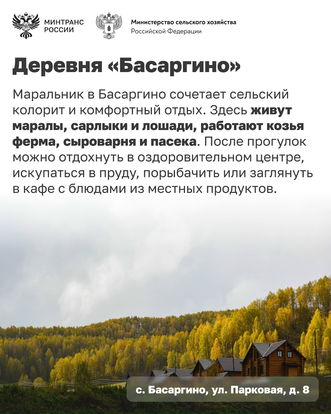 Едете в Алтайский край? Добавьте эти места в свой маршрут