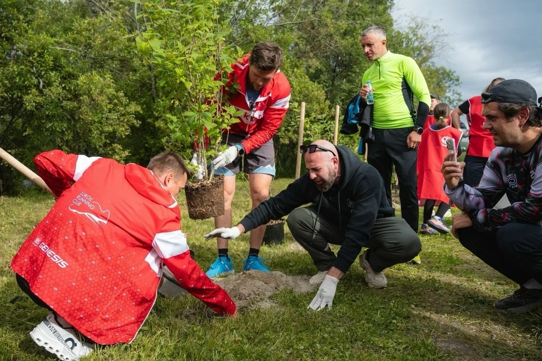 В Арктике прижилась инициатива ЛУКОЙЛа «Создаём новый лес — 35 тысяч деревьев»