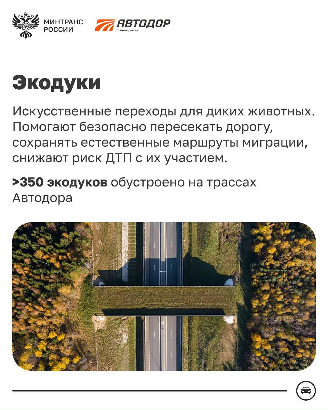 Автодор – флагман скоростных трасс России