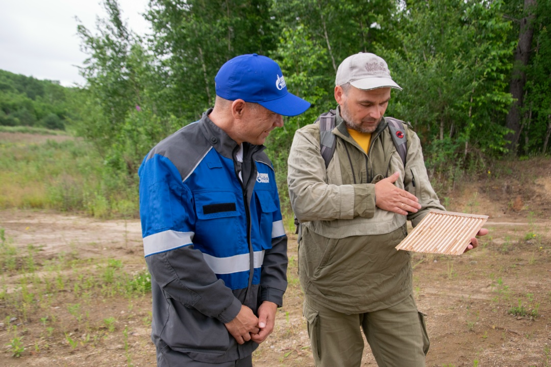 Ученые проводят ежегодное изучение биоразнообразия вокруг Амурского ГПЗ