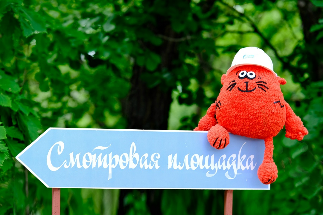 Где сердце замирает от красоты? Мур-привет, друзья! С вами снова Амур Амурыч, любознательный символ Амурского ГПЗ и ваш персональный гид