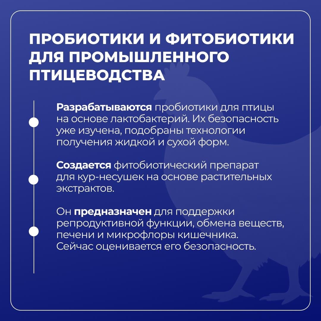 Проекты Тимирязевской академии по программе «Приоритет-2030» выходят на производственные испытания