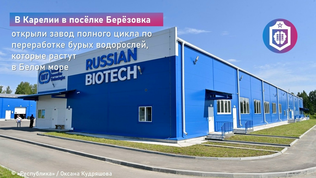 #Когнитивная_Витаминка Выпуск № 353 21.07.2026