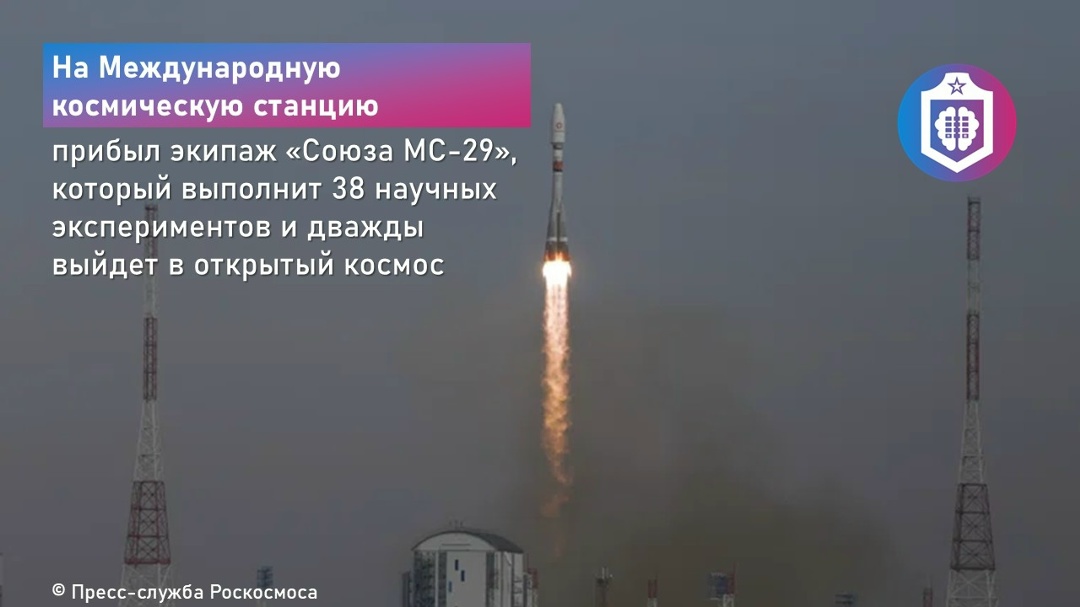#Когнитивная_Витаминка Выпуск № 354 24.07.2026