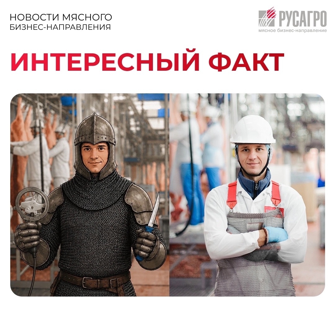 Настоящие рыцари в кольчуге среди нас! И работают они на мясоперерабатывающих заводах «Русагро». Это обвальщики