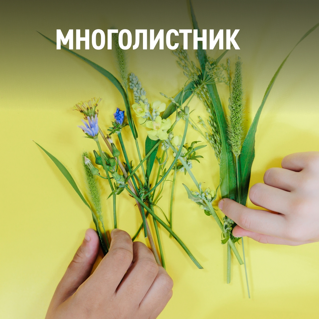 Природа — это пространство, где дети учатся удивляться, замечать прекрасное и чувствовать себя частью большого мира