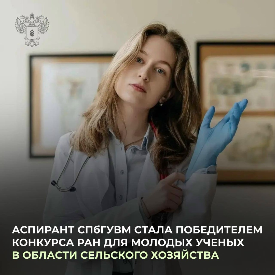 Наши снова на высоте! Аспирант СПбГУВМ Мария Шубина стала победителем конкурсного отбора на соискание медалей Российской академии наук с премиями для молодых…