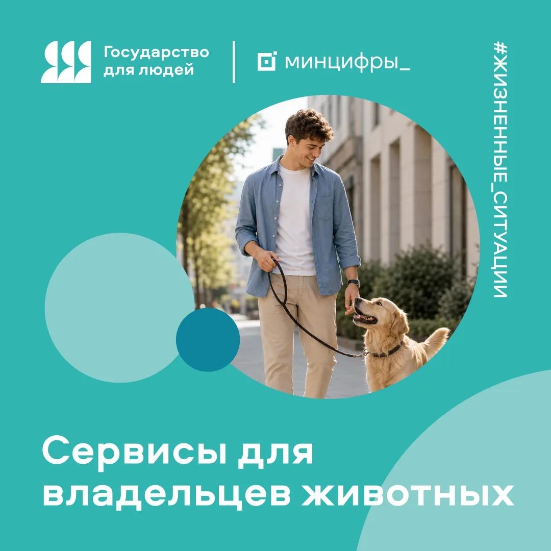 Жизненные ситуации на Госуслугах: все сервисы для владельцев животных на одной странице