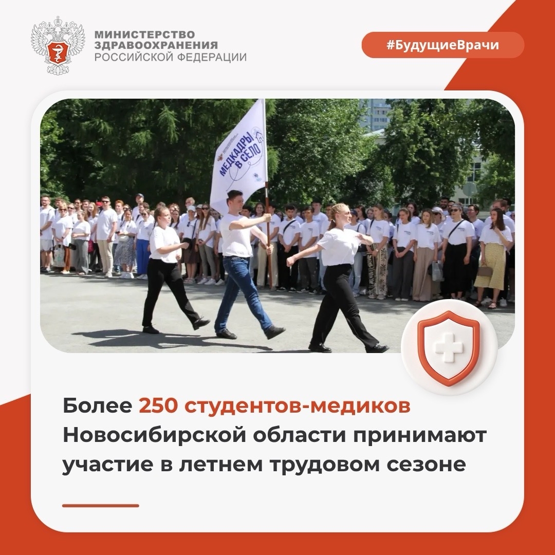 Более 250 студентов-медиков Новосибирской области принимают участие в летнем трудовом сезоне