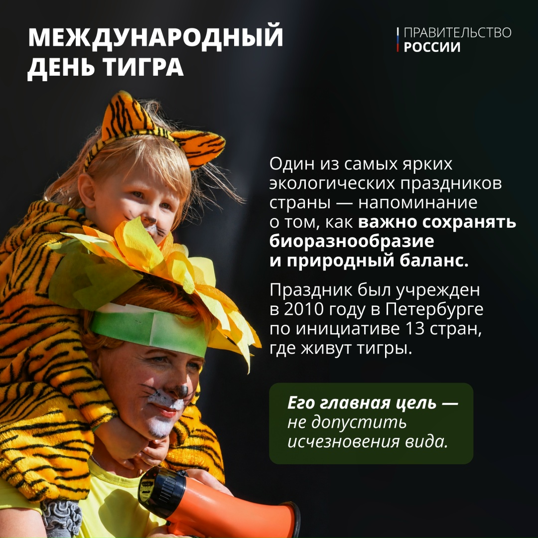 Тигр — один из крупнейших наземных хищников, уступающий по массе лишь белому и бурому медведям