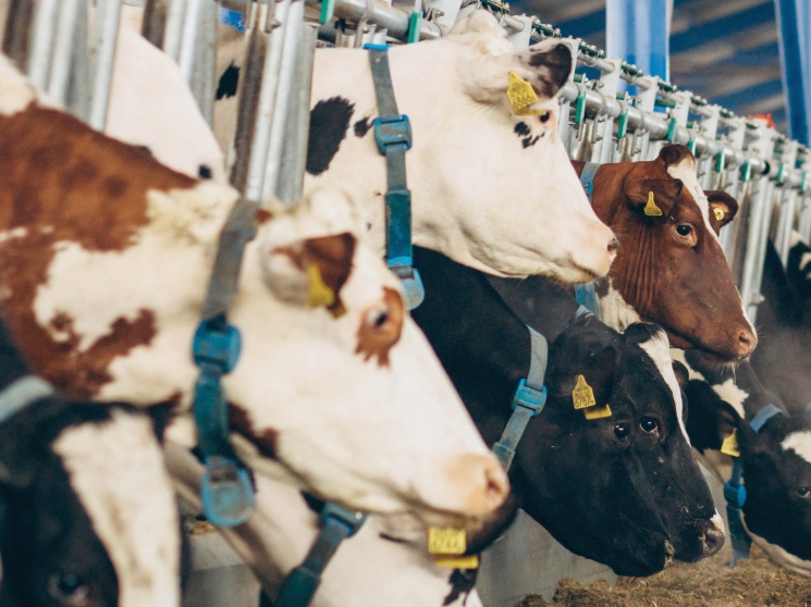 По данным Росстата, по итогам первого полугодия производство сельхозпродукции сократилось на 0,8%, до 2,76 трлн руб. В июне оно снизилось на 2,9%, по…