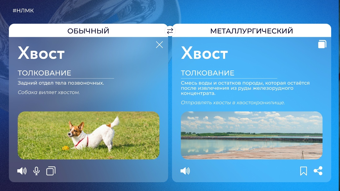 Хвосты бывают не только у животных. На Стойленском ГОКе они часть производственного процесса. #ПереводчикНЛМК объяснит, как это работает.