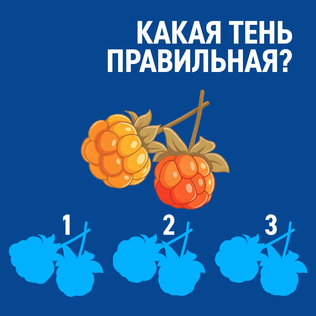 Морошку называют «северным апельсином» — за цвет и высокое содержание витамина С